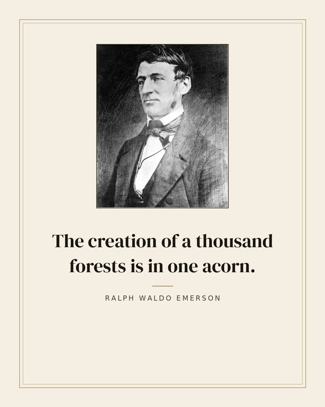 The creation of a thousand forests is in one acorn. — Ralph Waldo Emerson