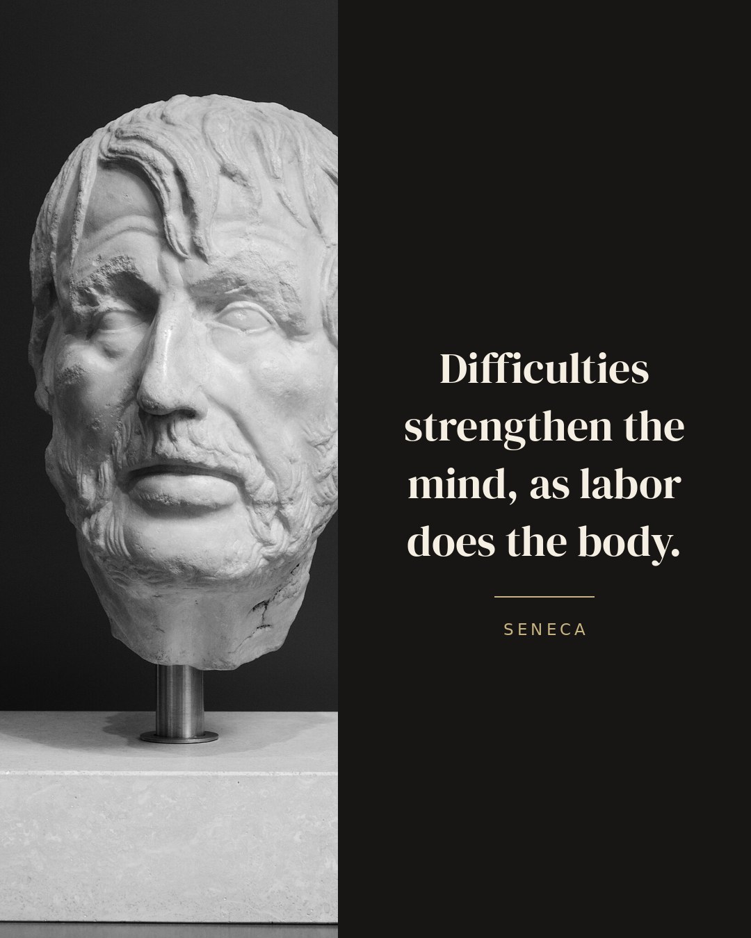 Difficulties strengthen the mind, as labor does the body. — Seneca