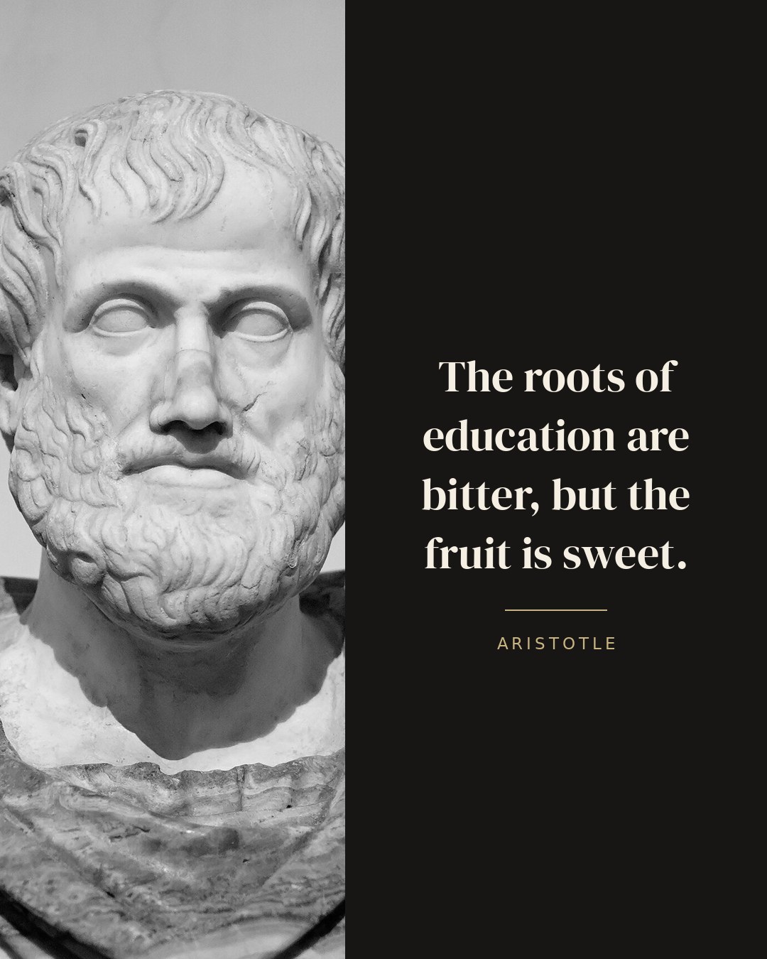 The roots of education are bitter, but the fruit is sweet. — Aristotle quote card