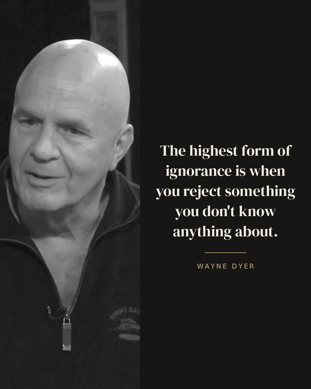 The highest form of ignorance is when you reject something you don't know anything about. — Wayne Dyer