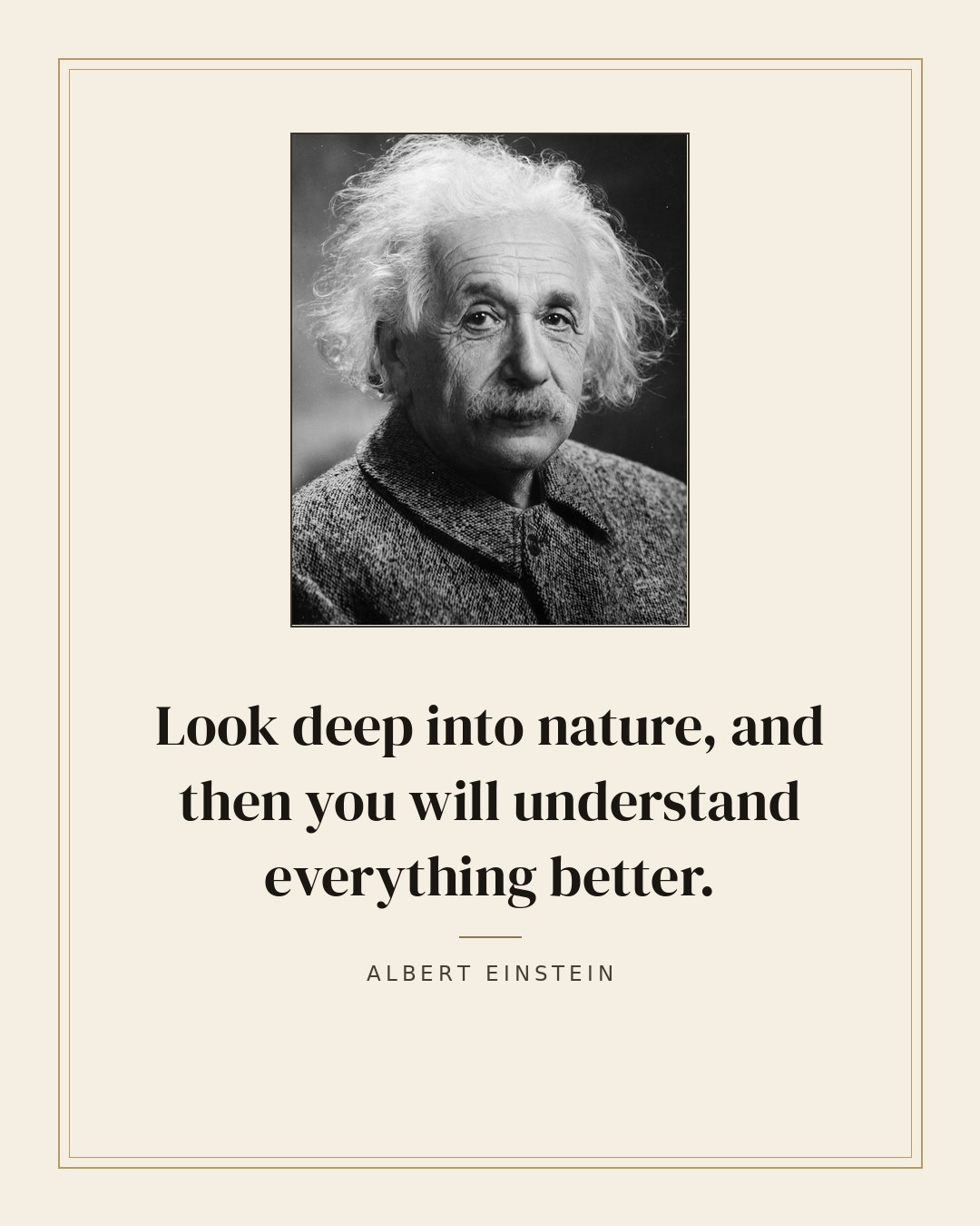Look deep into nature, and then you will understand everything better. — Albert Einstein