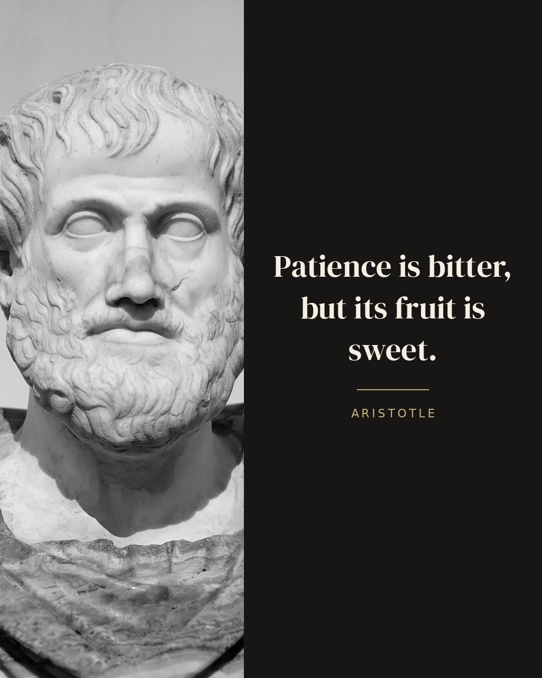 Patience is bitter, but its fruit is sweet. — Aristotle