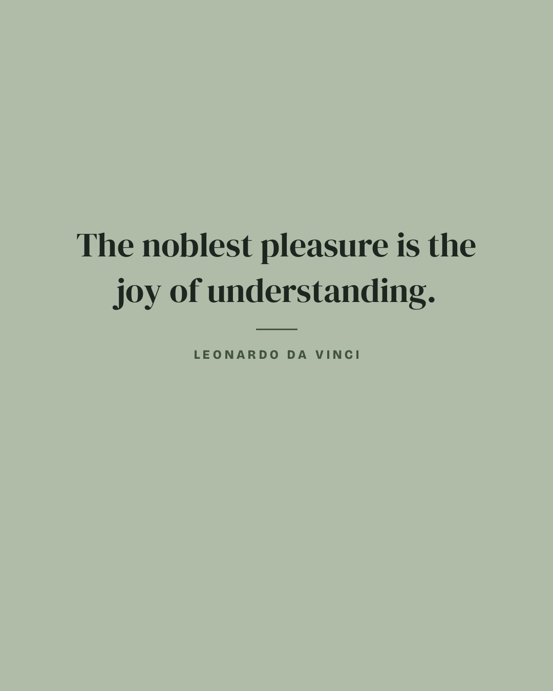 The noblest pleasure is the joy of understanding. — Leonardo da Vinci