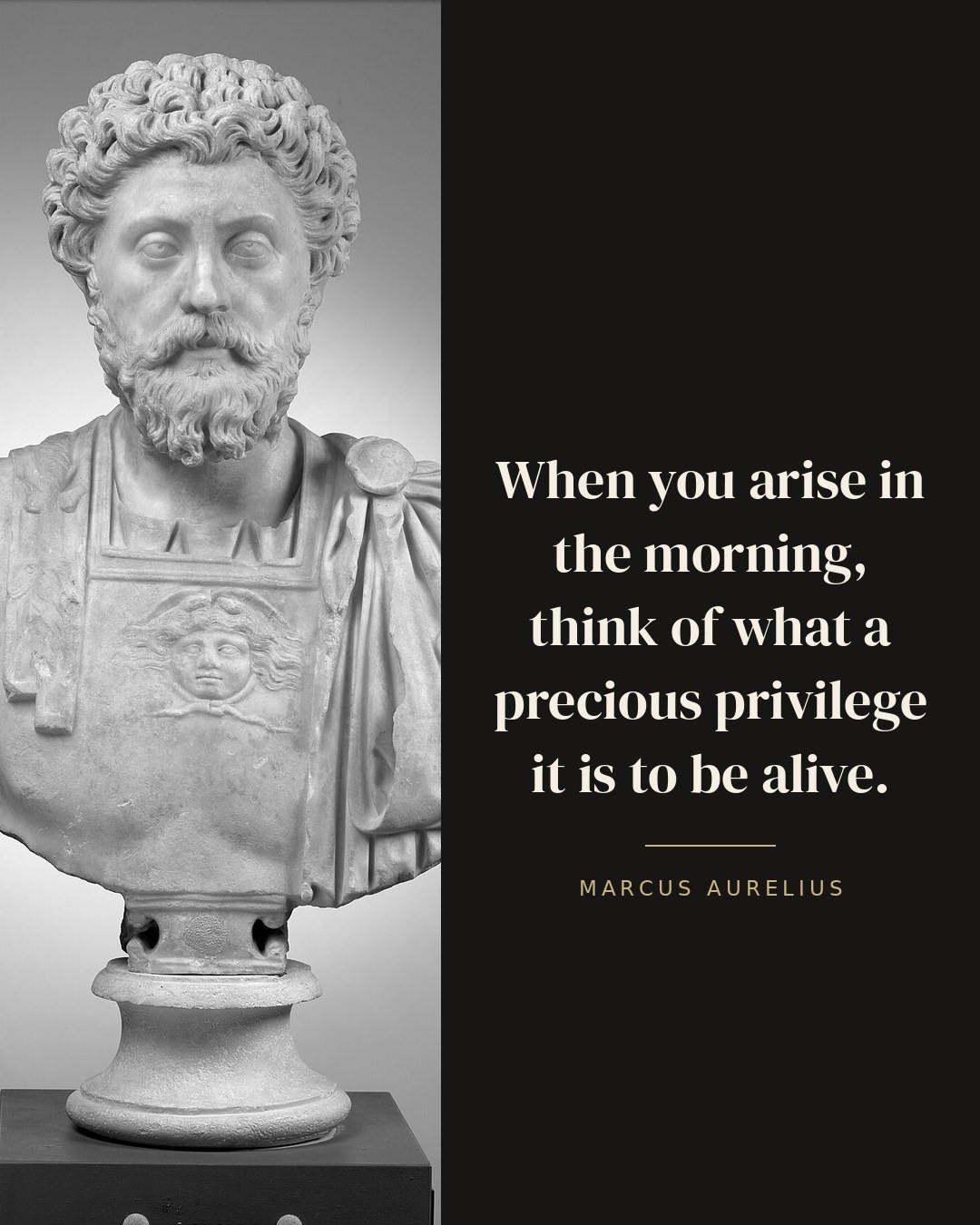 When you arise in the morning, think of what a precious privilege it is to be alive. — Marcus Aurelius