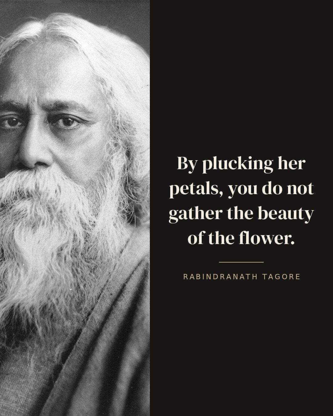 By plucking her petals, you do not gather the beauty of the flower. — Rabindranath Tagore quote card