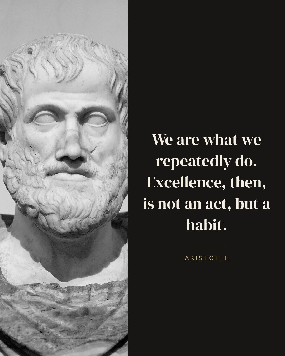 We are what we repeatedly do. Excellence, then, is not an act, but a habit. — Aristotle quote card