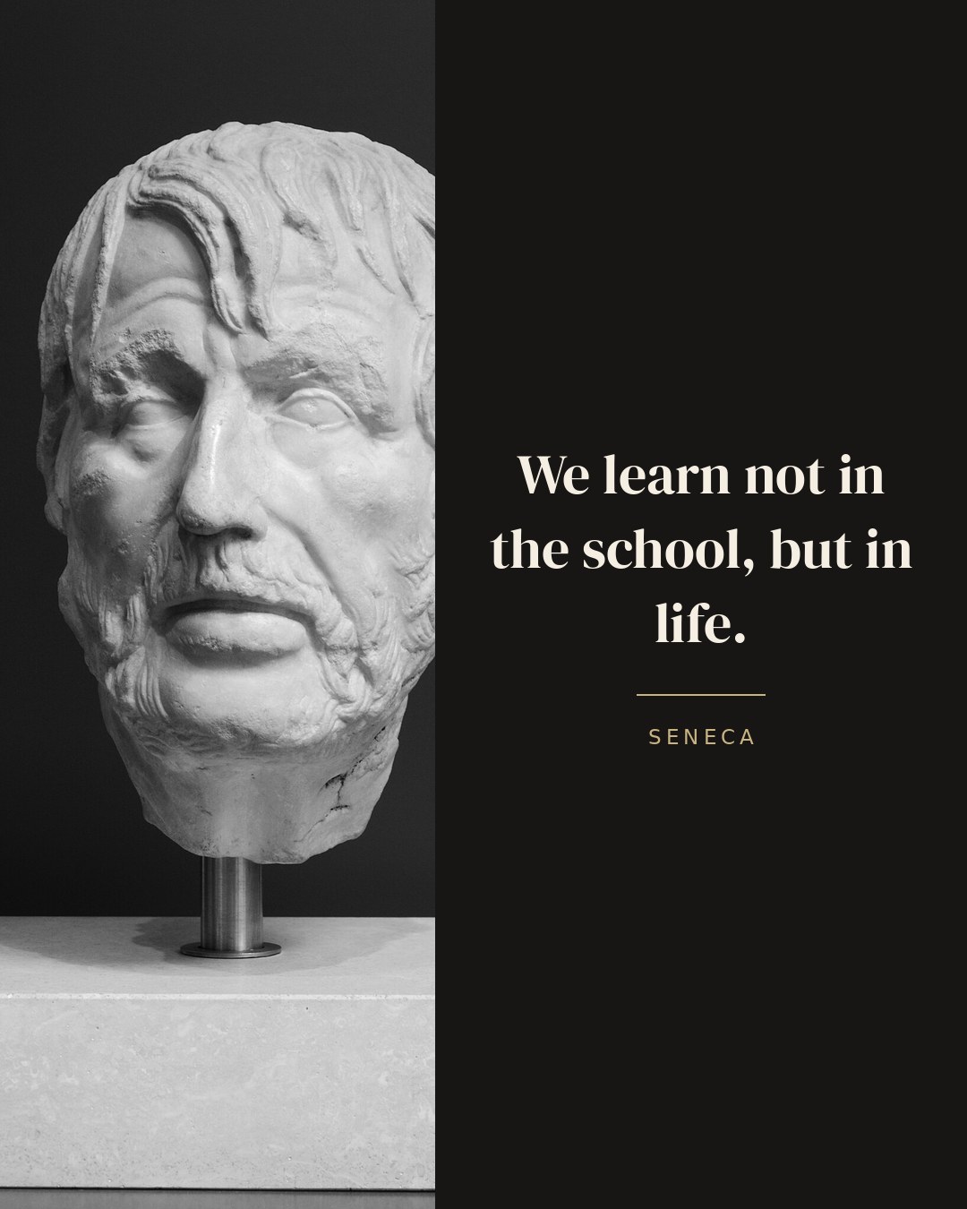 We learn not in the school, but in life. — Seneca quote card