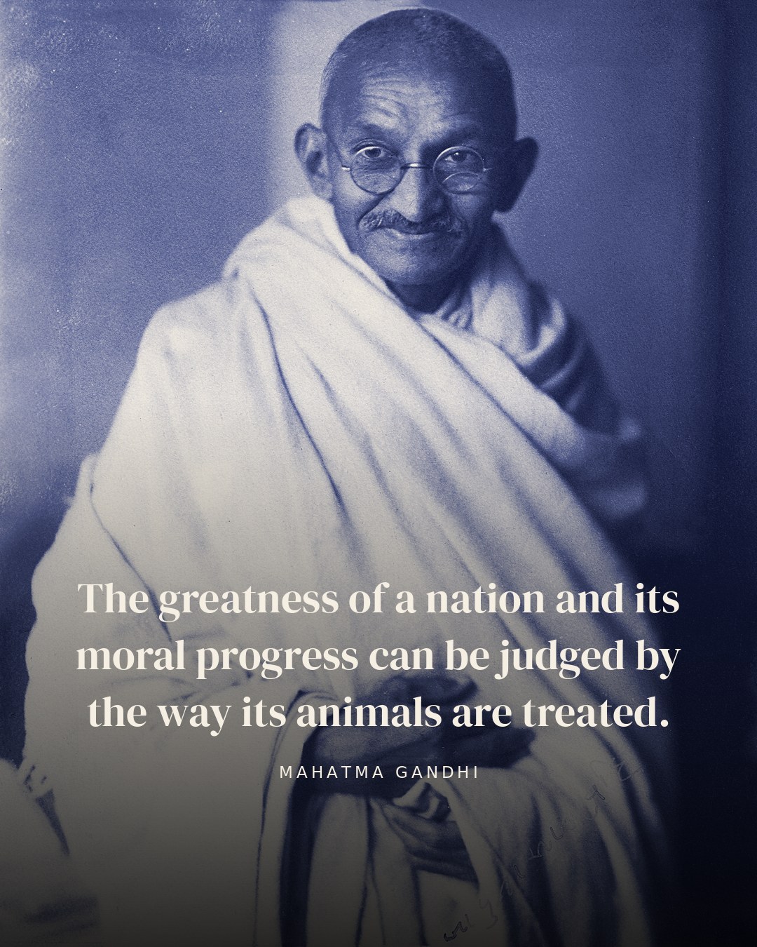 The greatness of a nation and its moral progress can be judged by the way its animals are treated. — Mahatma Gandhi quote card