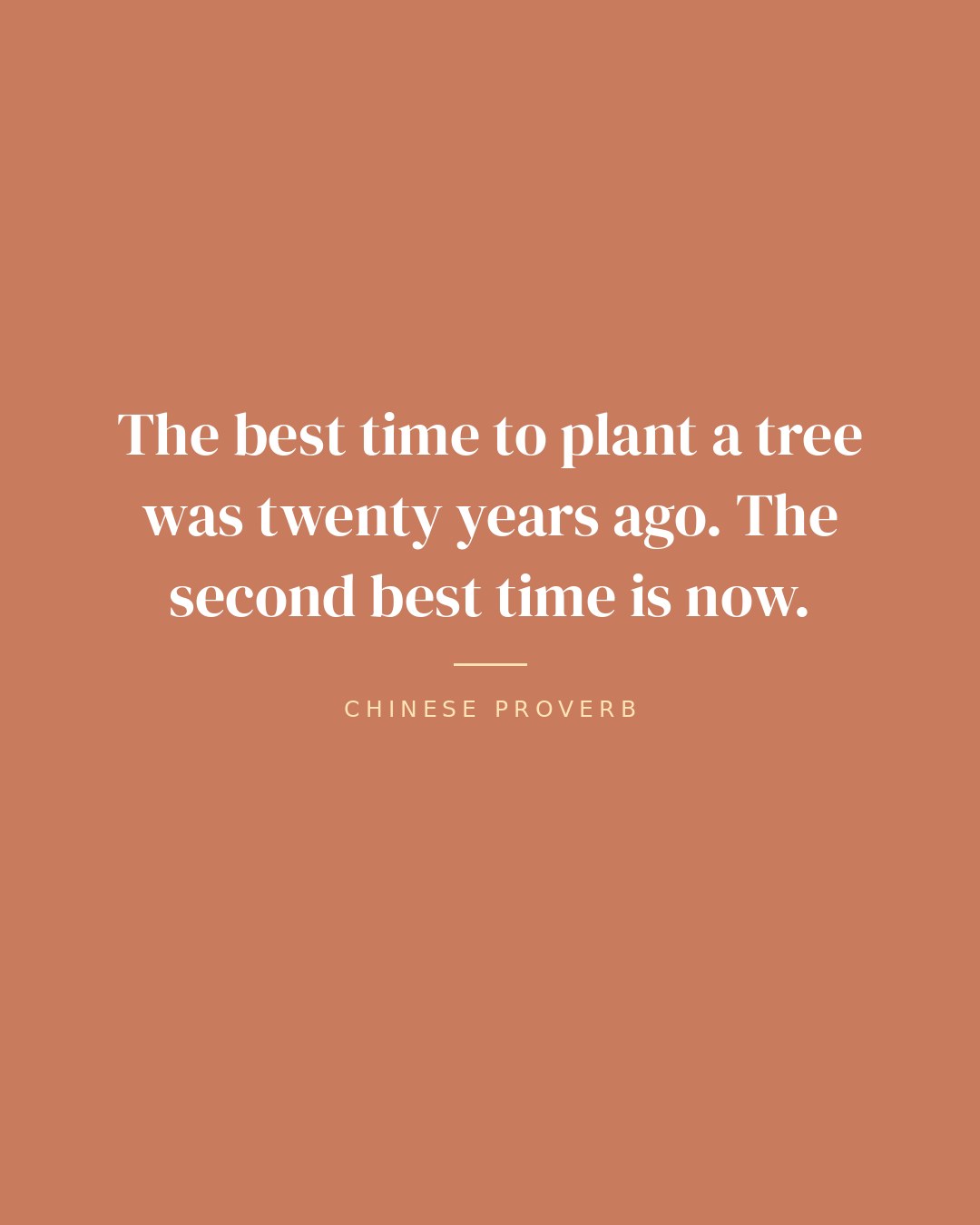 The best time to plant a tree was twenty years ago. The second best time is now. — Chinese proverb quote card