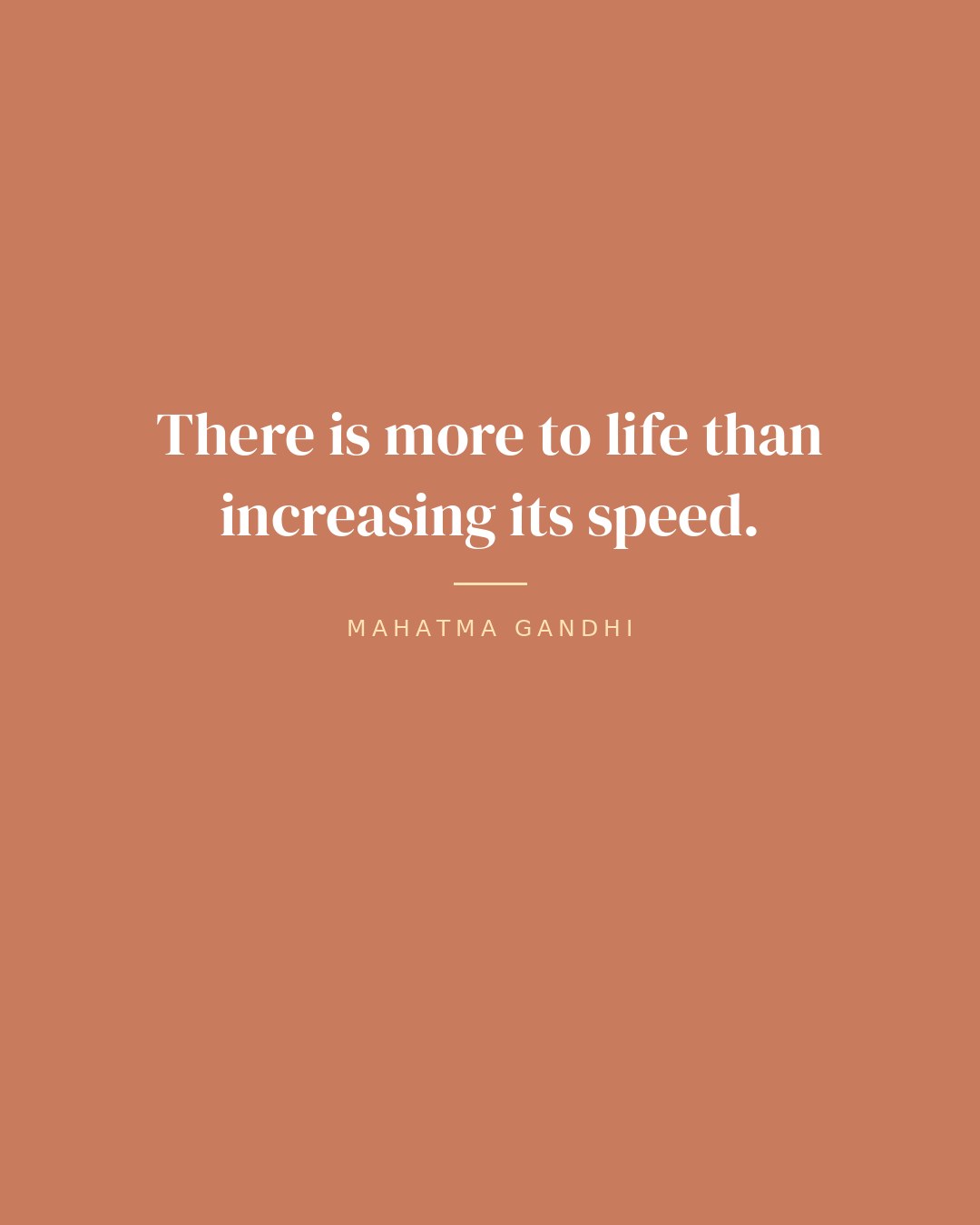 There is more to life than increasing its speed. — Mahatma Gandhi