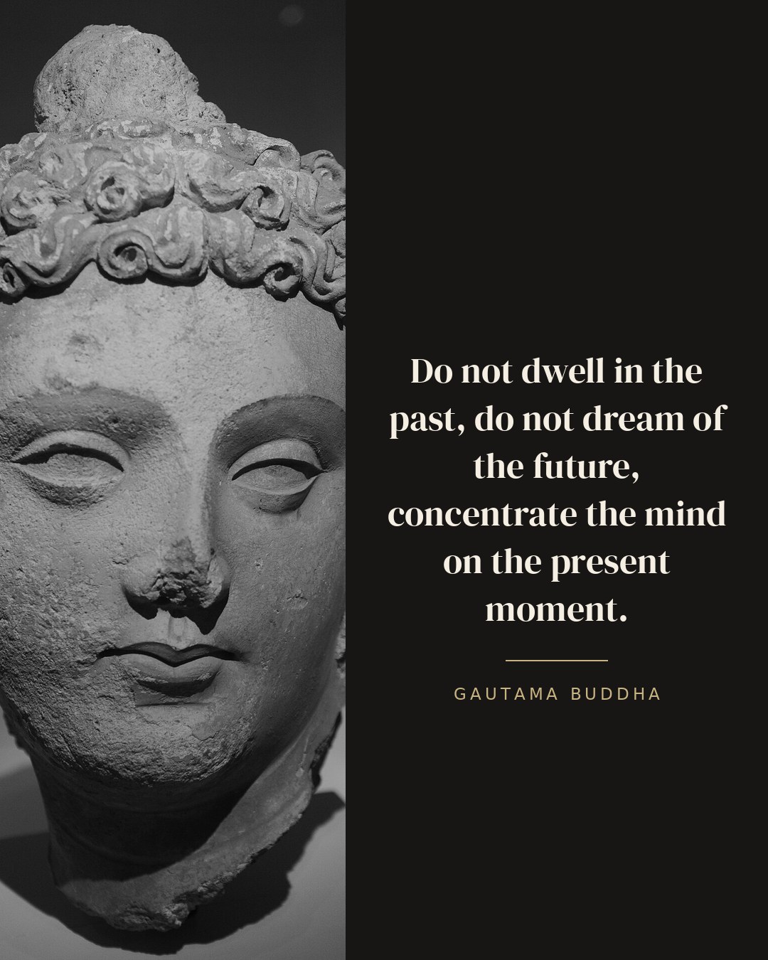 Do not dwell in the past, do not dream of the future, concentrate the mind on the present moment. — Gautama Buddha