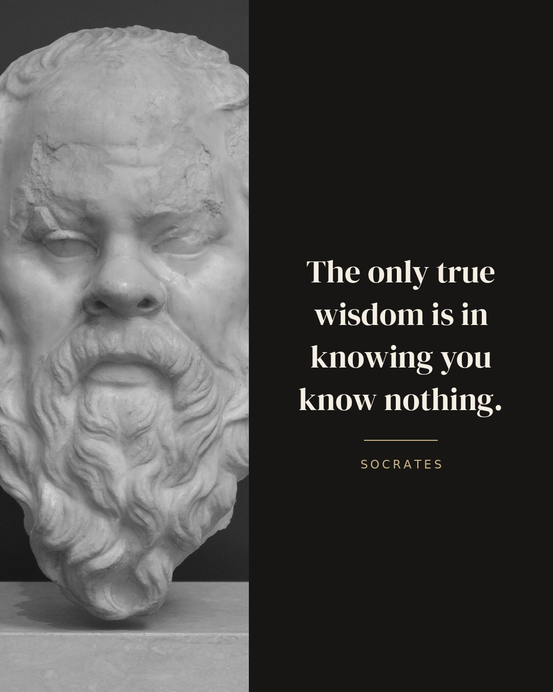 The only true wisdom is in knowing you know nothing. — Socrates