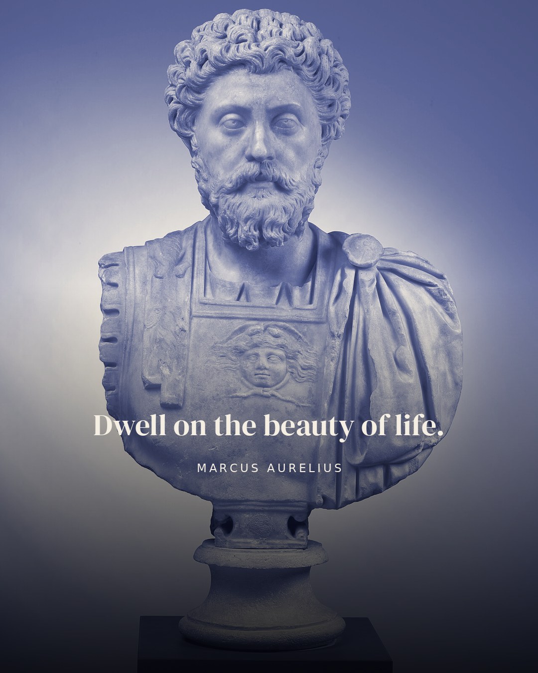 Dwell on the beauty of life. — Marcus Aurelius