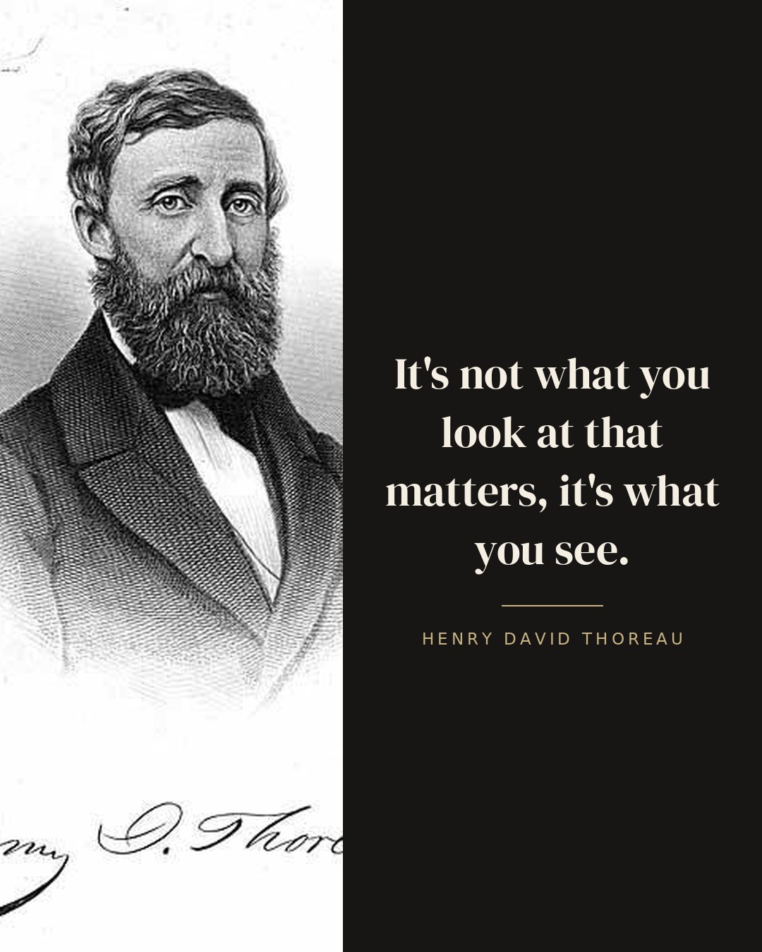 It's not what you look at that matters, it's what you see. — Henry David Thoreau