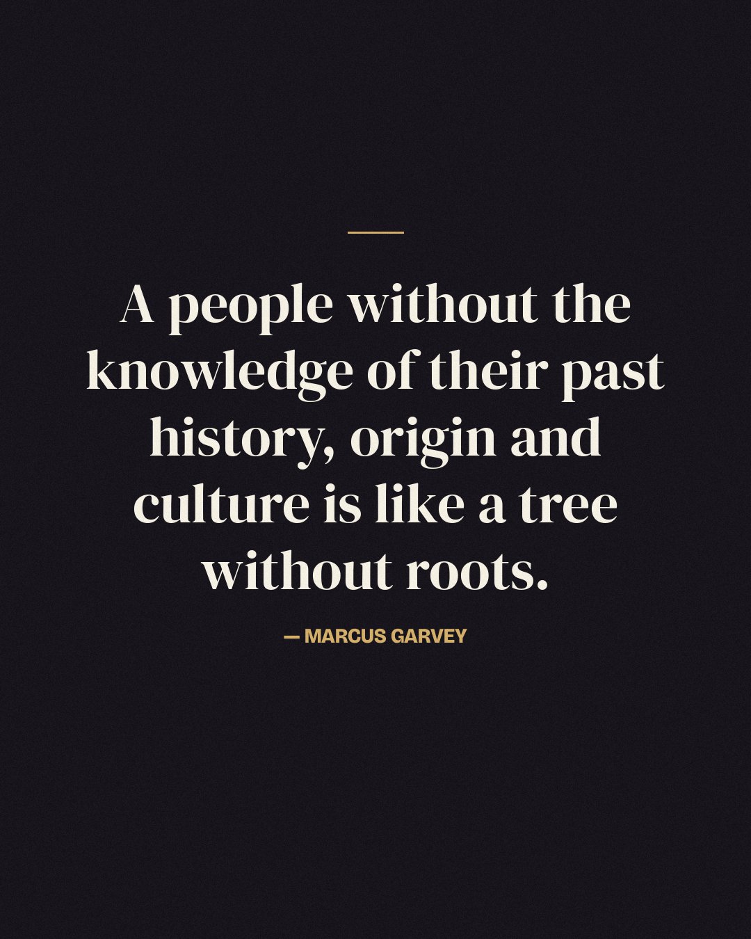 A people without the knowledge of their past history, origin and culture is like a tree without roots. — Marcus Garvey
