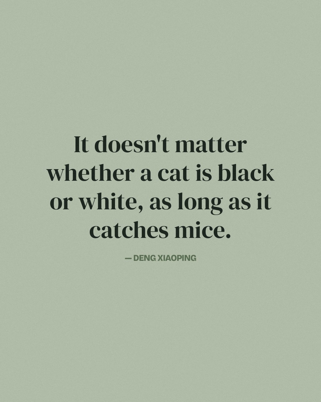 It doesn't matter whether a cat is black or white, as long as it catches mice. — Deng Xiaoping