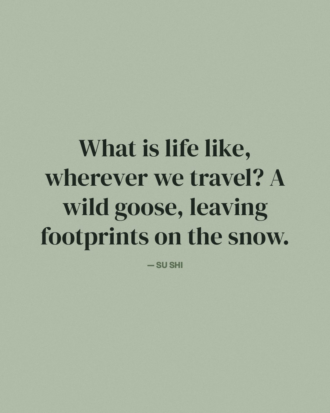 What is life like, wherever we travel? A wild goose, leaving footprints on the snow. — Su Shi