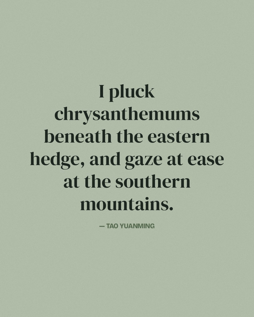 I pluck chrysanthemums beneath the eastern hedge, and gaze at ease at the southern mountains. — Tao Yuanming