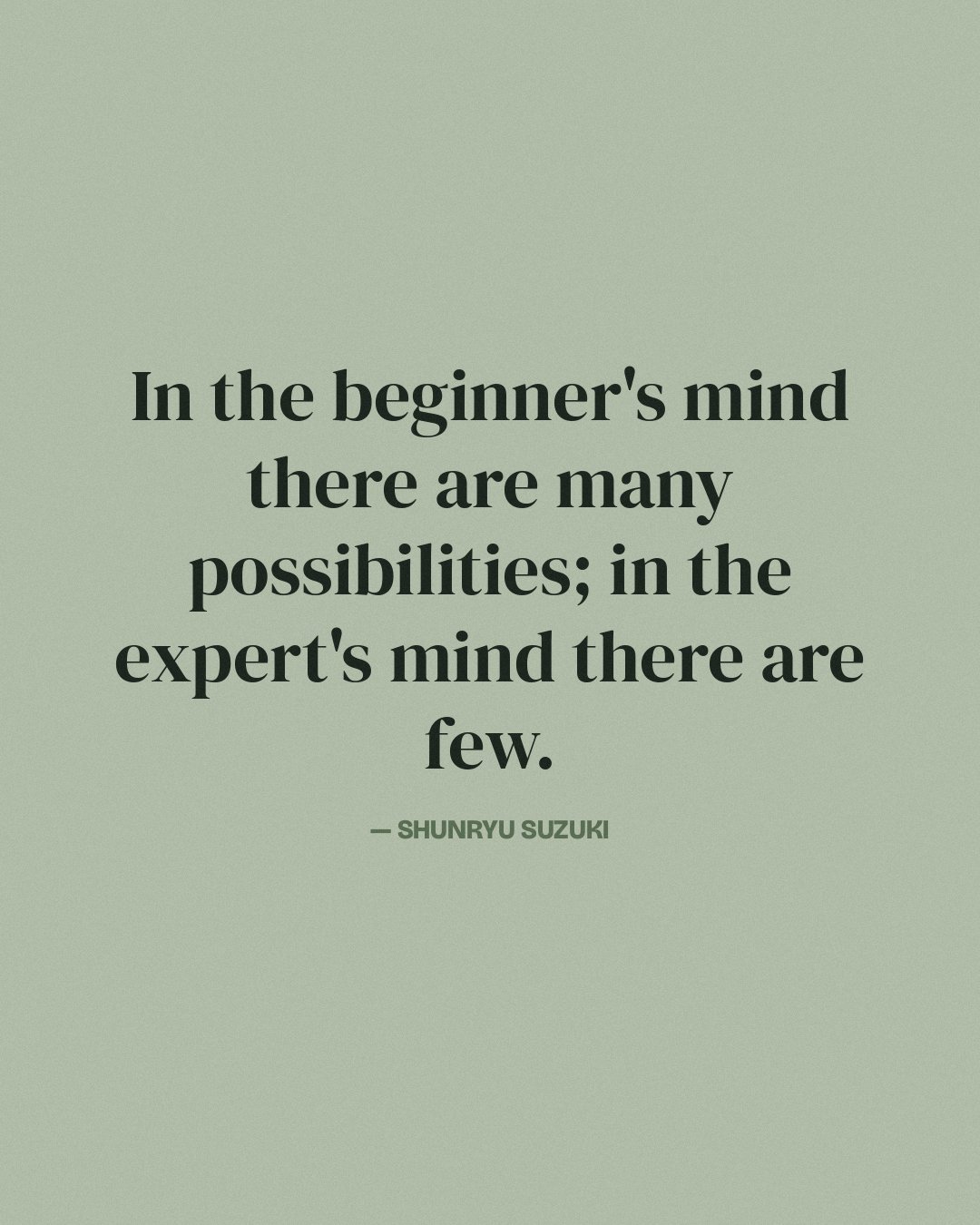 In the beginner's mind there are many possibilities; in the expert's mind there are few. — Shunryu Suzuki