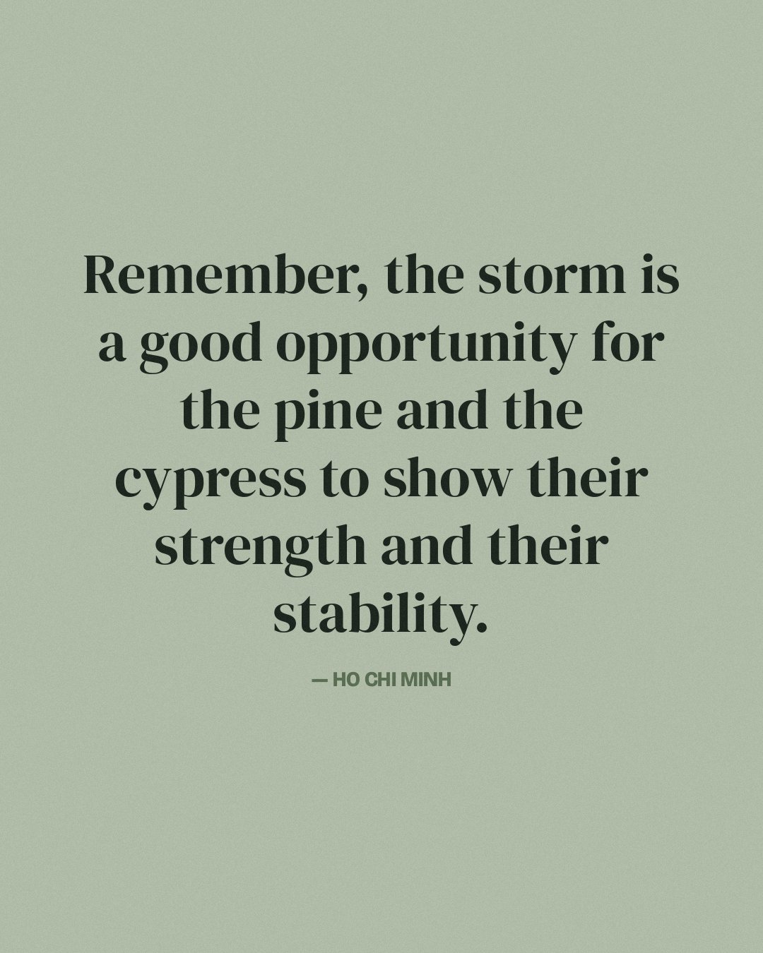 Remember, the storm is a good opportunity for the pine and the cypress to show their strength and their stability. — Ho Chi Minh