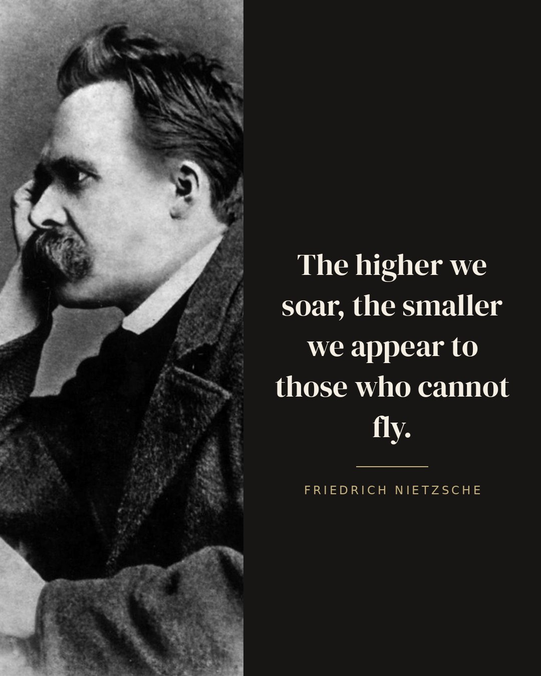 The higher we soar, the smaller we appear to those who cannot fly. — Friedrich Nietzsche